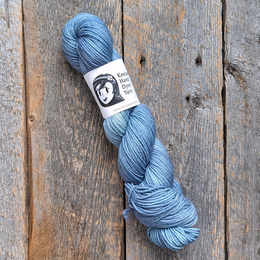 light blue BFL, twisted skein, bluefaced leicester, yarn, DK yarn, light blue yarn, superwash