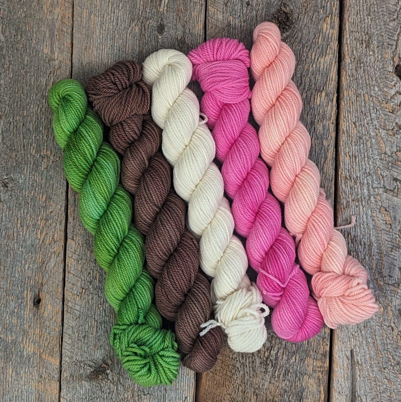 5 - 50 gram skeins of DK 100% Targhee wool in green, brown, natural, pink, and coral