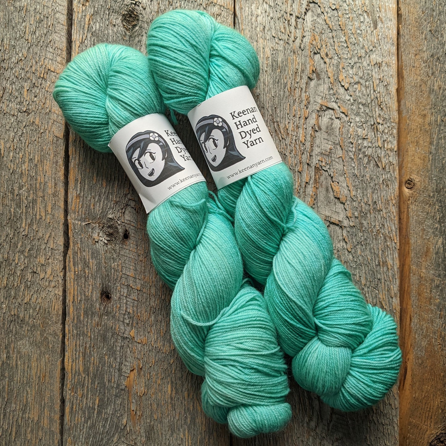 Teal for Two #1 Scoundrel Sock Yarn