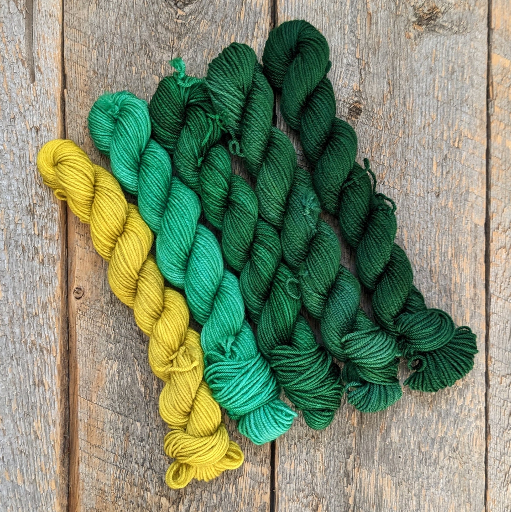 gradient mini set, green yarn,  green gradation mini skeins, mini skeins, twisted mini skeins, sock yarn, fingering yarn, green hand dyed yarn