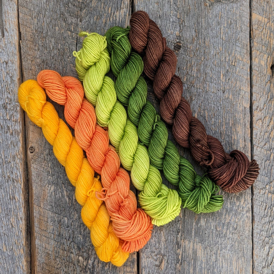 gradient mini set, orange yarn, yellow yarn,  mini skeins, twisted mini skeins, sock yarn, fingering yarn, brown hand dyed yarn, green hand dyed yarn