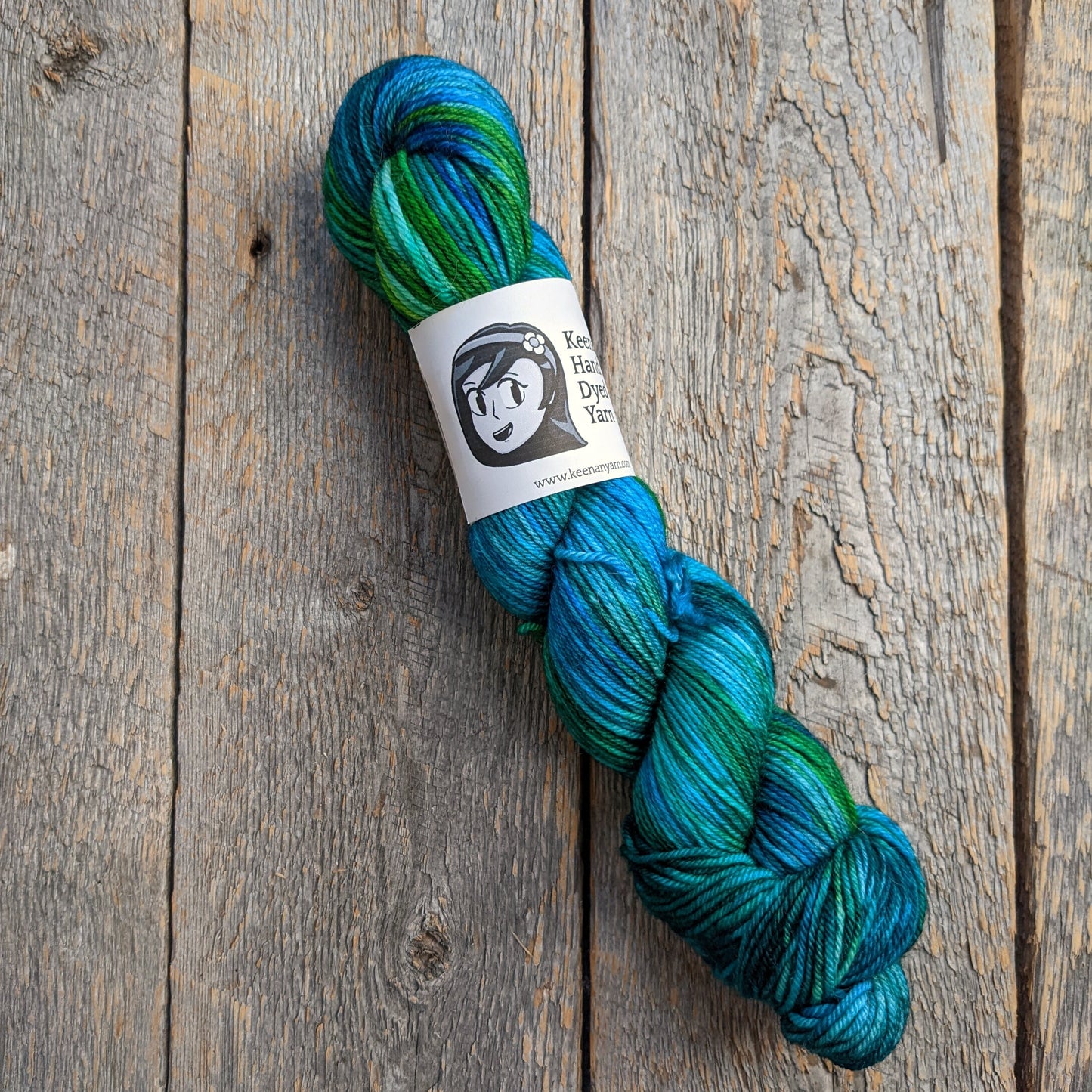 We're Looking for the Whales SW BFL DK Yarn
